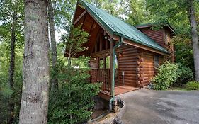 Cubs Cove